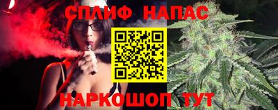 Альфа ПВП Обь